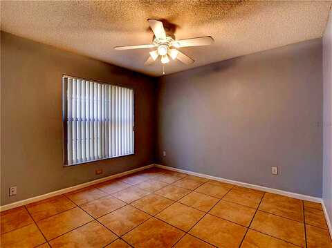 Cypress Knee, KISSIMMEE, FL 34743