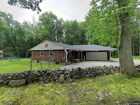 Yew, DOUGLAS, MA 01516
