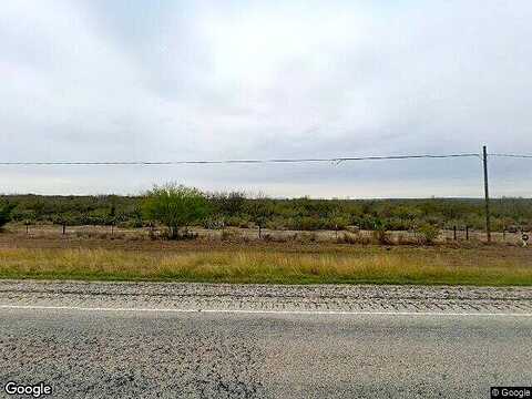 Highway 59, FREER, TX 78357