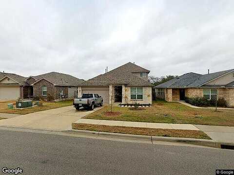 Empress Tree, LEANDER, TX 78641