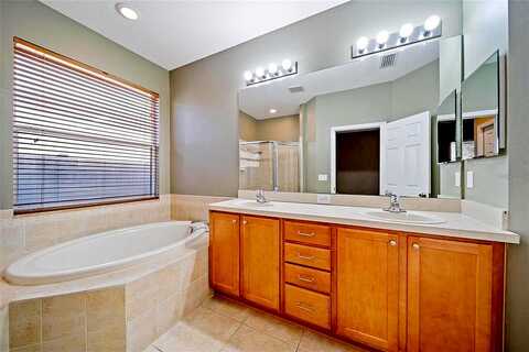 Silvermill, LAND O LAKES, FL 34638