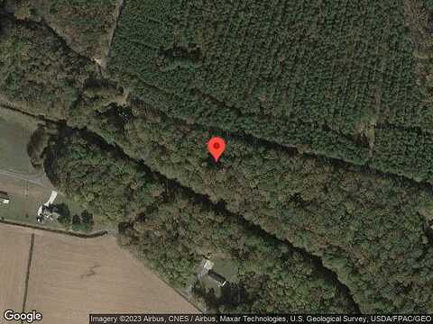 Rayne, WILLARDS, MD 21874