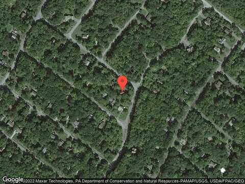 Fir, GOULDSBORO, PA 18424
