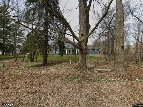 Lone Tree, MILFORD, MI 48380