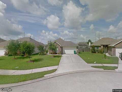 Elderberry, DICKINSON, TX 77539