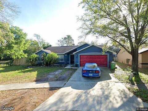 Erne, PALM HARBOR, FL 34683