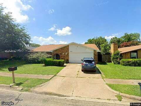 Buckwheat, FORT WORTH, TX 76137
