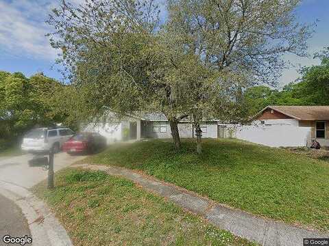 Fallon, BRANDON, FL 33511