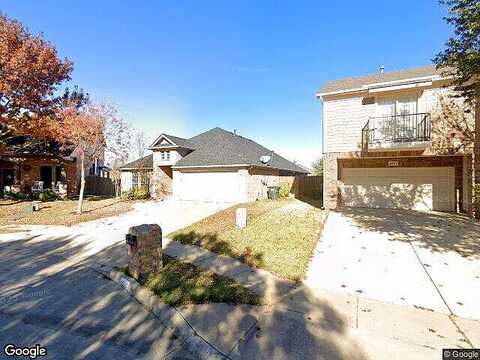 Golden Yarrow, FORT WORTH, TX 76244