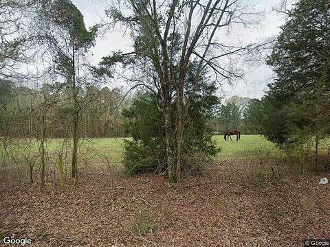 County Road 112 N Lot 1, OVERTON, TX 75684