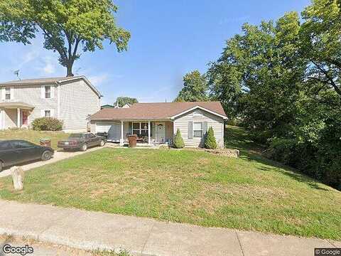 Elm, WINFIELD, MO 63389