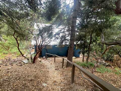 Robin Oak, ANGELUS OAKS, CA 92305