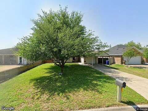 Date Palm, SAN JUAN, TX 78589