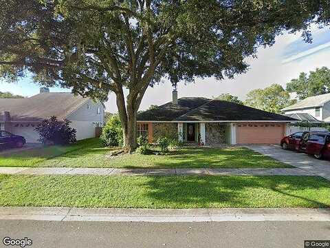 Nesting, TAMPA, FL 33625