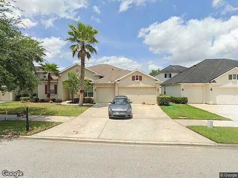 Forest Stump, JACKSONVILLE, FL 32258