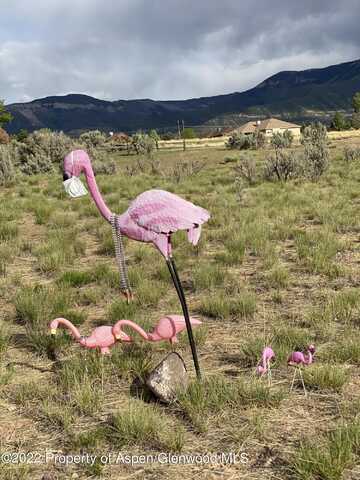 294 Battlement Creek Trail, Battlement Mesa, CO 81635