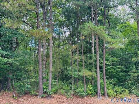 11301 Brooks Street, Greenwood, VA 23059