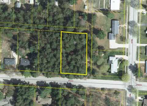 Vl Brook Avenue, Kaleva, MI 49645