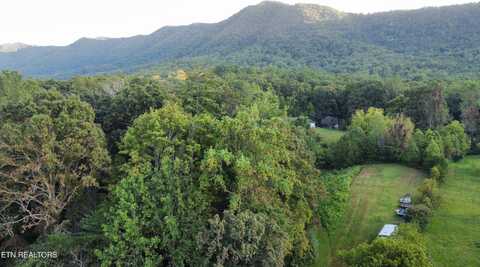 Dry Valley Rd, Townsend, TN 37882