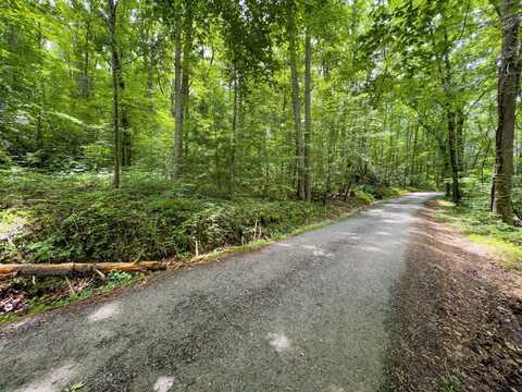 Hopkins Road, Cosby, TN 37722
