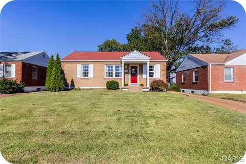 4317 Koeln Avenue, Saint Louis, MO 63116