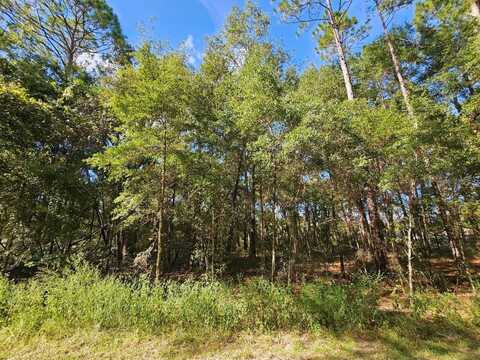 Tbd SW 21ST PLACE, OCALA, FL 34481