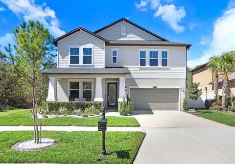 8721 SAVORY WALK DRIVE, LAND O LAKES, FL 34637