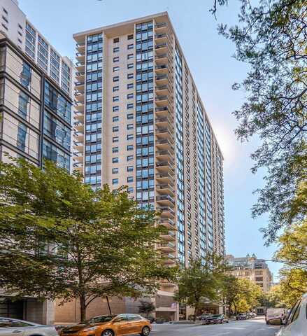 1313 N Ritchie Court, Chicago, IL 60610