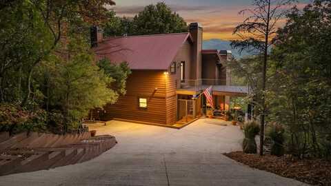 521 Lower Prince Mountain Road, Cherry Log, GA 30522