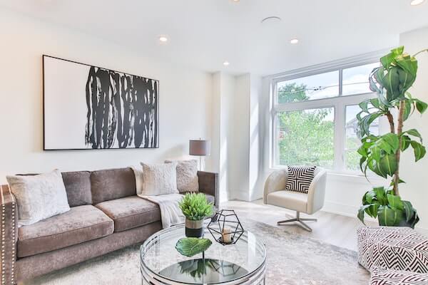 living room with furniture and a house plant