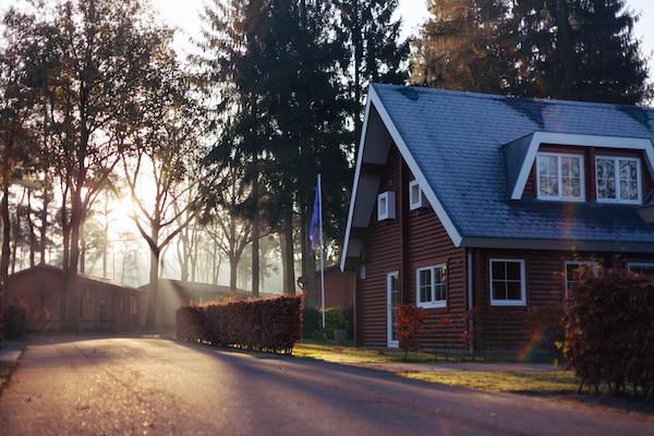 red house near trees