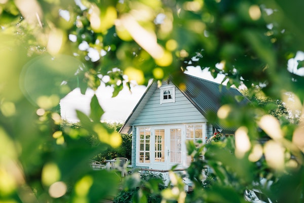 white wooden house in the middle of green trees